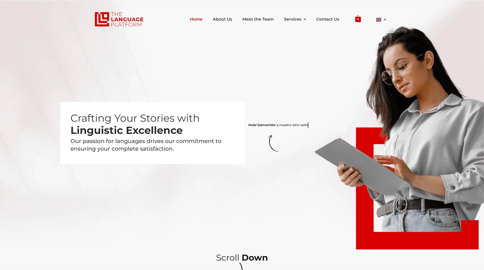 ramzi chbeir web developer lebanon wordpress developer wordpress web developer seo specialist seo strategist google ads manager project 4 the language platform